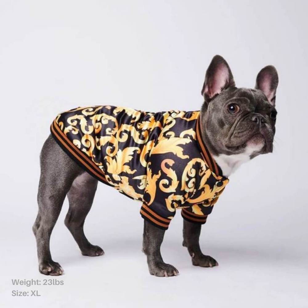 Black & Gold Brocade Dog Bomber Jacket by Spark Paws