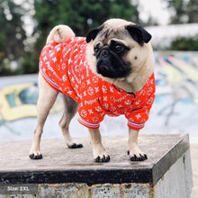 Load image into Gallery viewer, Pupreme Dog Bomber Jacket by Spark Paws
