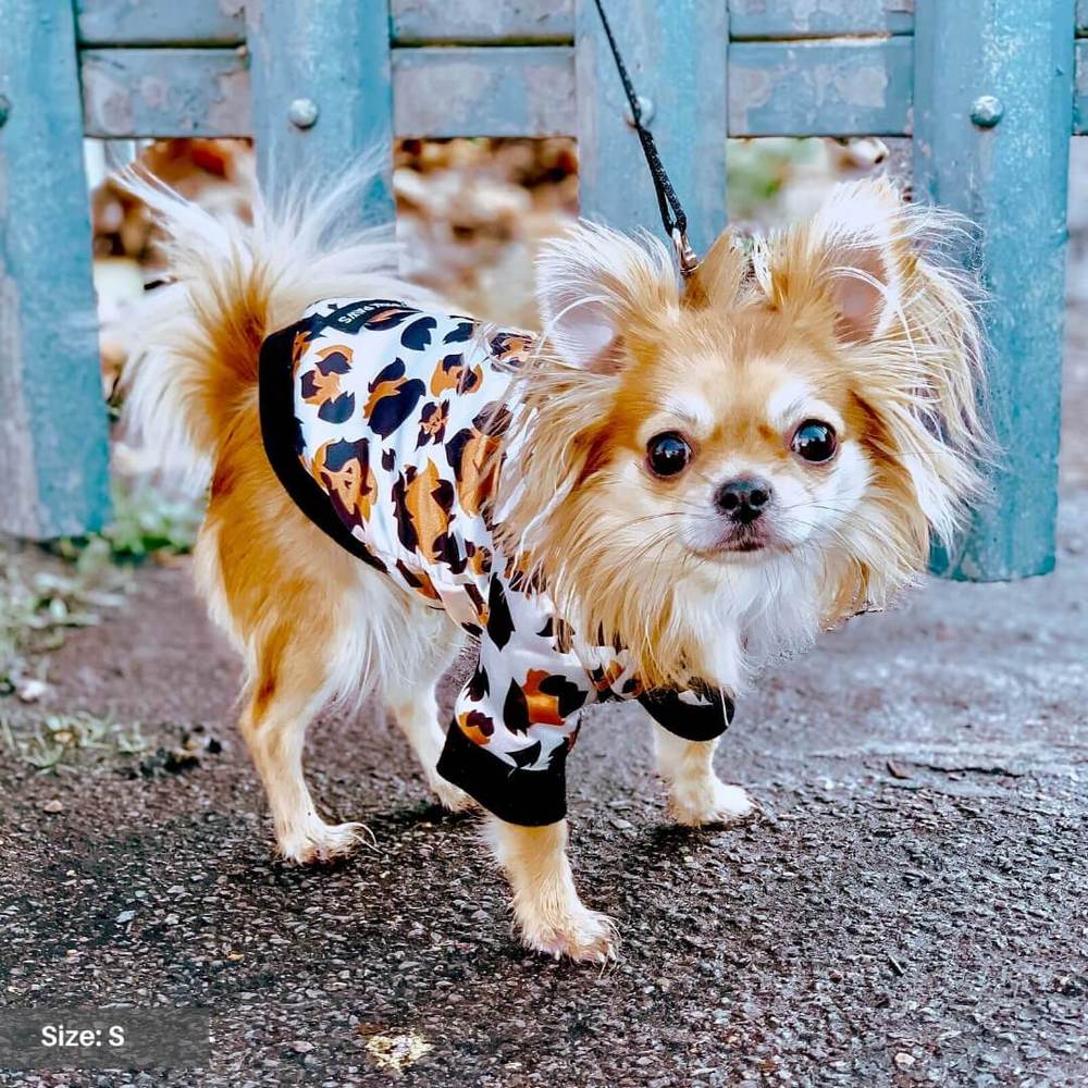 Dog bomber jacket sale