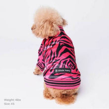 Load image into Gallery viewer, Pink Zebra Dog Bomber Jacket by Spark Paws
