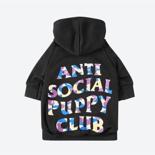 Anti social social pup top hoodie