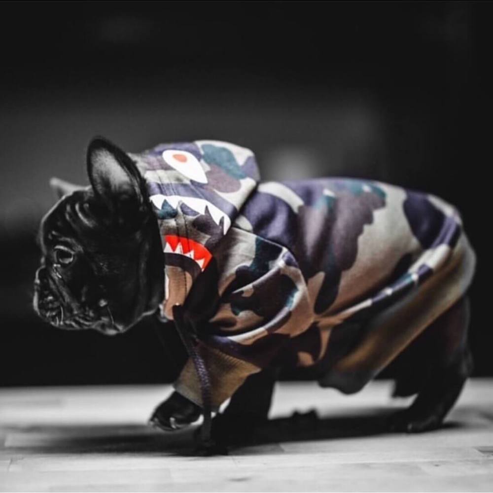 Bape hoodie dog online