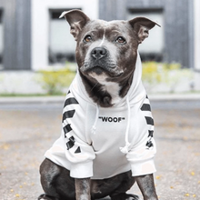 Load image into Gallery viewer, &quot;WOOF&quot; Dog Hoodie by Spark Paws
