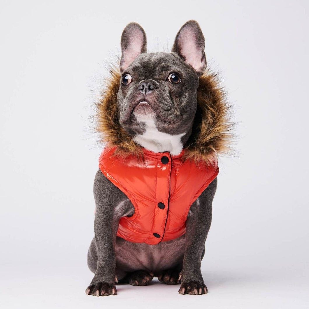 Ultra Down Puffer Jacket - Tangerine by Spark Paws