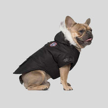 Load image into Gallery viewer, Winter Wilderness Jacket by Canada Pooch
