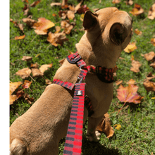 Load image into Gallery viewer, Dog Leash - Classic Red Plaid (6ft) by Bcuddly
