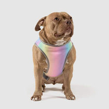 Load image into Gallery viewer, Chill Seeker Cooling Vest - Rainbow
