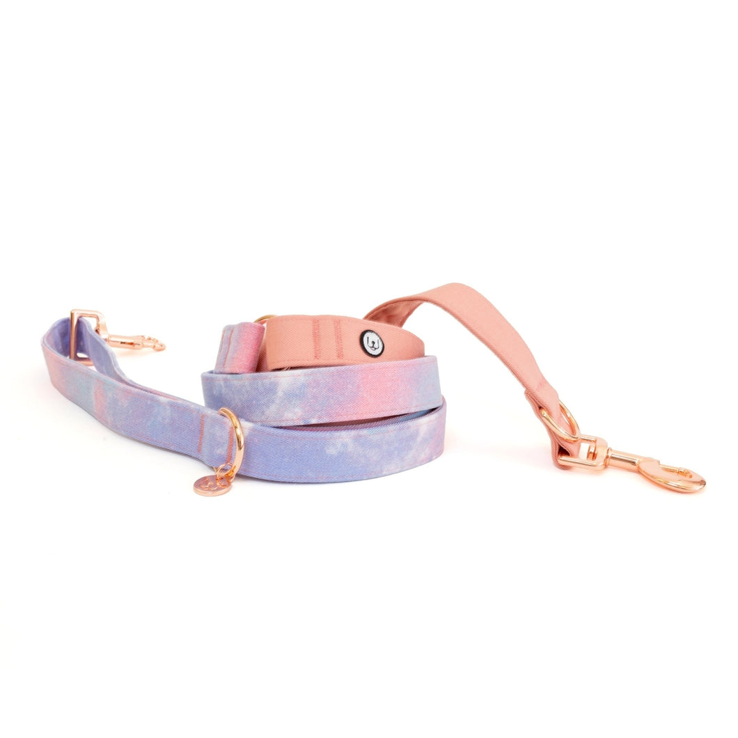 Cotton Candy Convertible Leash – Blossom by Eat Play Wag