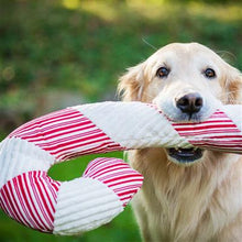 Load image into Gallery viewer, Peppermint Collection Plush Candy Cane by Huggle Hounds

