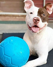 Load image into Gallery viewer, Jolly Pets - Soccer Ball
