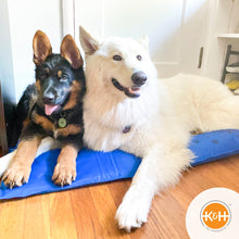 Load image into Gallery viewer, K&amp;H Coolin&#39; Pet Pad
