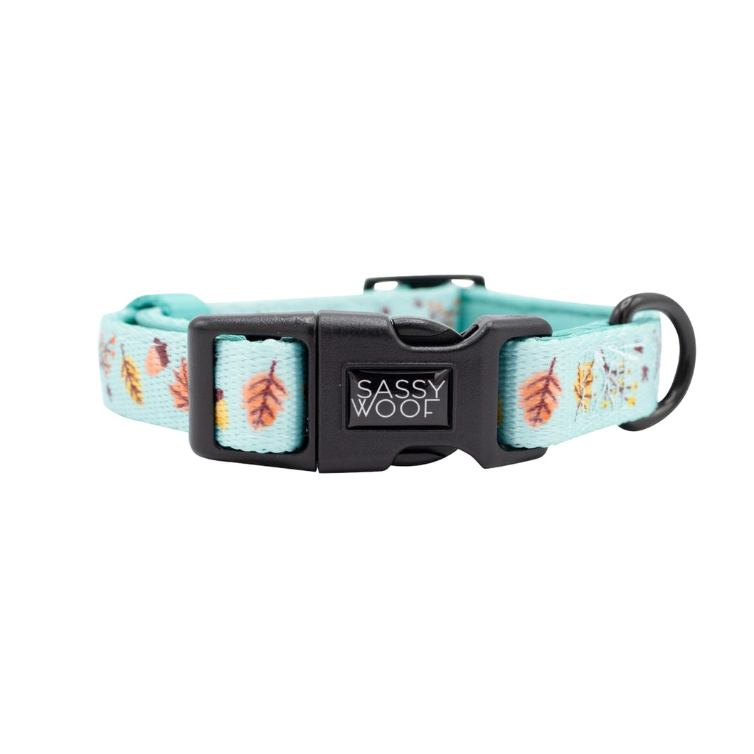 'Falling Fur You' Dog Collar