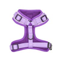 Load image into Gallery viewer, &#39;Aurora&#39; Adjustable Dog Harness by Sassy Woof
