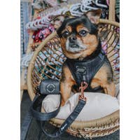 Load image into Gallery viewer, &#39;Baby got Black&#39; Dog Waste Bag Holder by Sassy Woof
