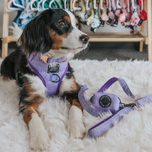 Load image into Gallery viewer, &#39;Aurora&#39; Dog Waste Bag Holder by Sassy Woof
