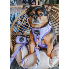 Load image into Gallery viewer, &#39;Aurora&#39; Dog Waste Bag Holder by Sassy Woof
