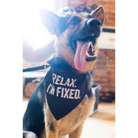 Load image into Gallery viewer, &quot;Relax I&#39;m Fixed&quot; Bandana/Collar
