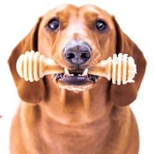 Load image into Gallery viewer, Honeybone Nylon Chew Bone for Dogs
