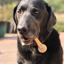 Load image into Gallery viewer, Honeybone Nylon Chew Bone for Dogs
