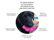 Load image into Gallery viewer, SP PAW PRINT ULTRA DURABLE NYLON DOG CHEW TOY FOR AGGRESSIVE CHEWERS - PINK
