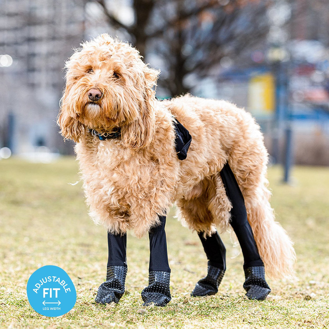 Walkee Paws New Deluxe Easy-On Dog Boot Leggings, Seen On, 44% OFF